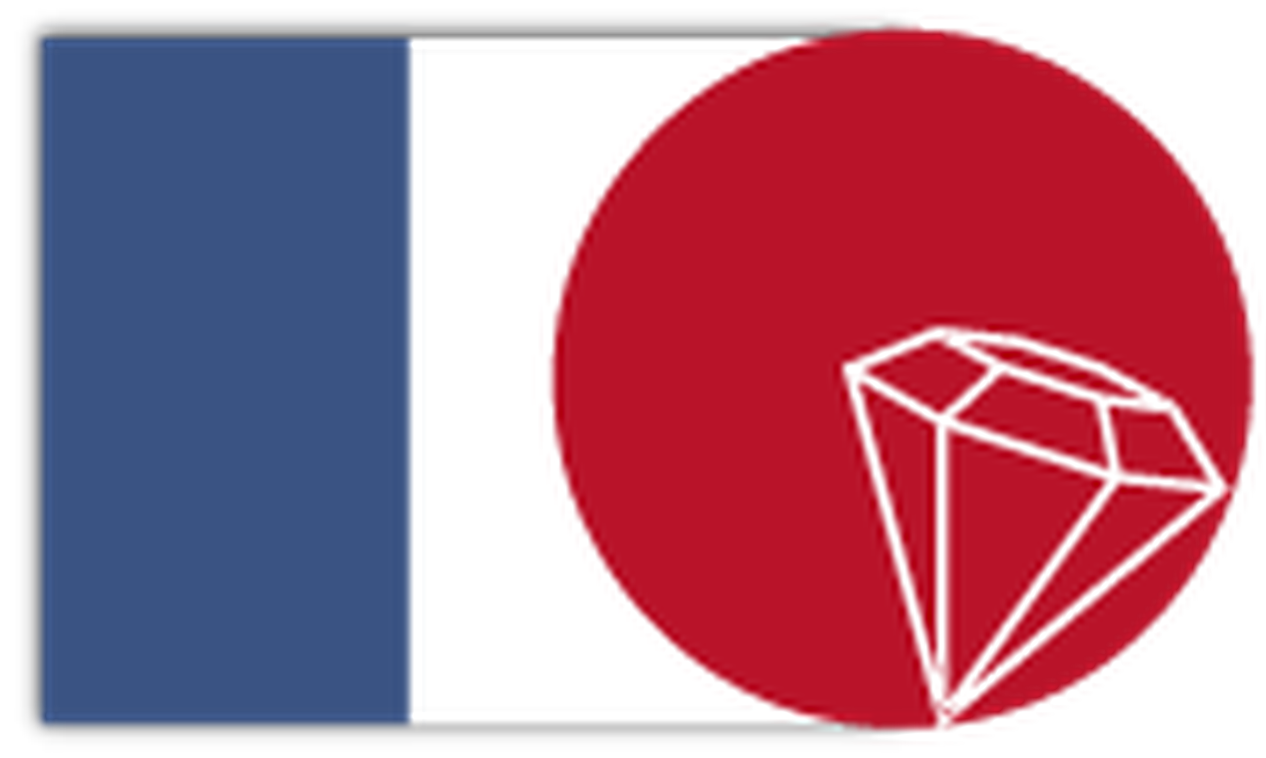 8th French-Japanese Workshop on Diamond Electronic Devices